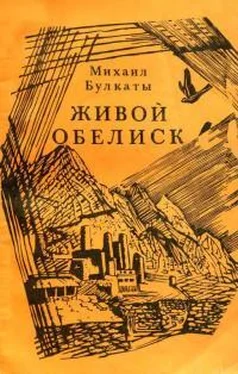 Михаил Булкаты Живой обелиск обложка книги