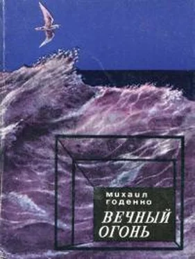 Михаил Годенко Вечный огонь обложка книги