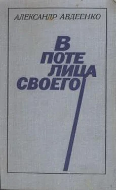 Александр Авдеенко В поте лица своего обложка книги