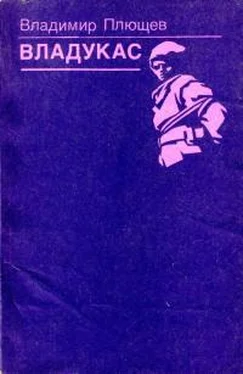 Владимир Плющев Владукас обложка книги