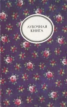 Автор неизвестен Лубочная книга обложка книги