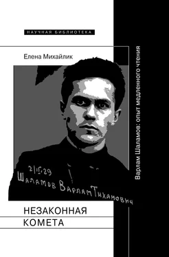 Елена Михайлик Незаконная комета. Варлам Шаламов: опыт медленного чтения обложка книги