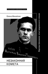 Елена Михайлик - Незаконная комета. Варлам Шаламов - опыт медленного чтения