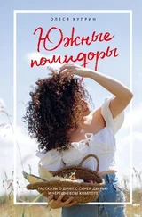 Олеся Куприн - Южные помидоры - рассказы о доме с синей дверью и черешневом компоте