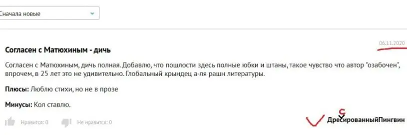 4 Мнение магазина Лабиринт о ССК Отзыв о псевдосерии Самая страшная - фото 8