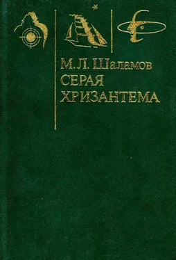 Михаил Шаламов Серая хризантема [Фантастические повести и рассказы] обложка книги