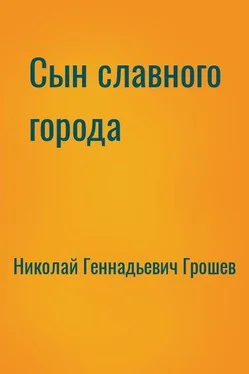 Николай Грошев Сын славного города [СИ] обложка книги