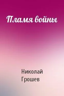 Николай Грошев Пламя войны [СИ] обложка книги