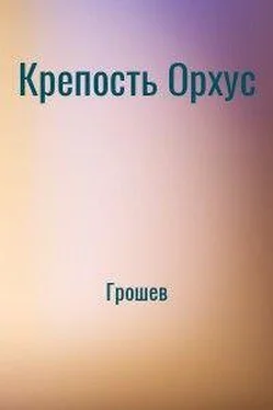 Николай Грошев Крепость Орхус [СИ] обложка книги