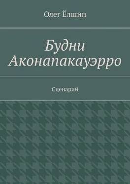 Олег Ёлшин Будни Аконапакауэрро обложка книги