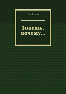 Олег Ёлшин Знаешь, почему… обложка книги
