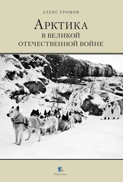 Алекс Громов Арктика в Великой Отечественной Войне обложка книги