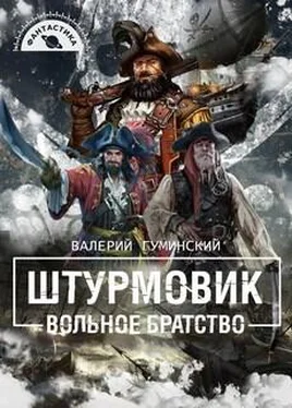 Валерий Гуминский Штурмовик-2. Вольное братство обложка книги