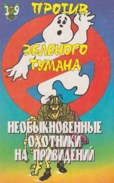 Пек Лепрекон Необыкновенные охотники на привидений против зеленого тумана обложка книги