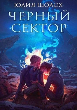 Юлия Шолох Чёрный сектор обложка книги