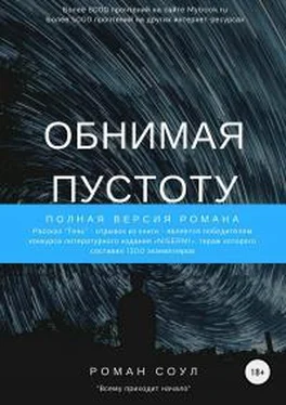 Роман Соул Обнимая пустоту обложка книги