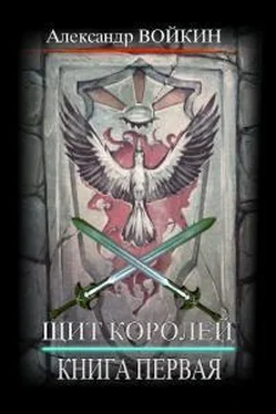 Александр Войкин Щит Королей. Книга первая обложка книги