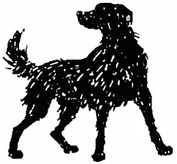 Глава XXIV СобакаСолнце убегала с неба волоча за собой свой алозолотой - фото 55