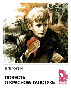 Виктор Пичугин Повесть о красном галстуке обложка книги