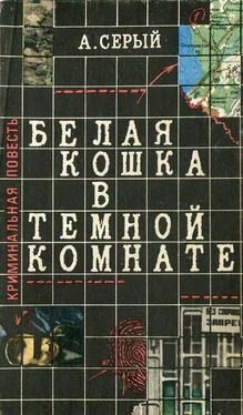 Александр Серый Белая кошка в темной комнате обложка книги