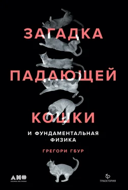 Грегори Гбур Загадка падающей кошки и фундаментальная физика обложка книги