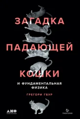 Грегори Гбур - Загадка падающей кошки и фундаментальная физика