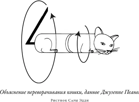 Короче говоря Пеано предполагает что если кошка закрутит свой хвост как - фото 27