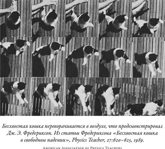 Рассуждения Пеано очень похожи на объяснение сохранения момента импульса на - фото 28