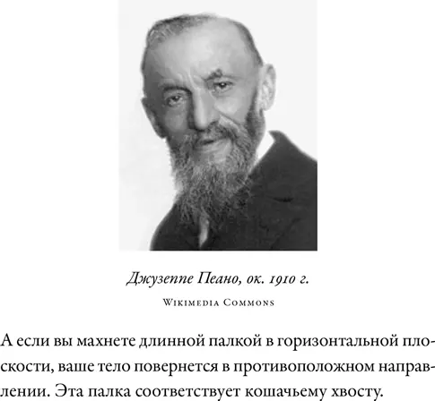 Пеано дал простое и элегантное объяснение даже слишком простое и элегантное - фото 29