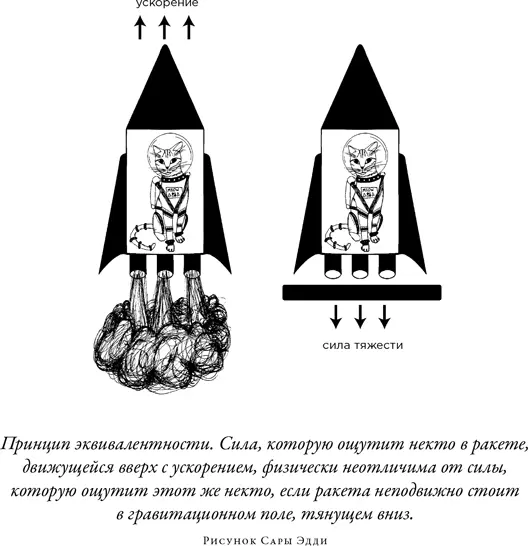 Это было глубокое прозрение проникновение в природу ускорения и гравитации но - фото 34