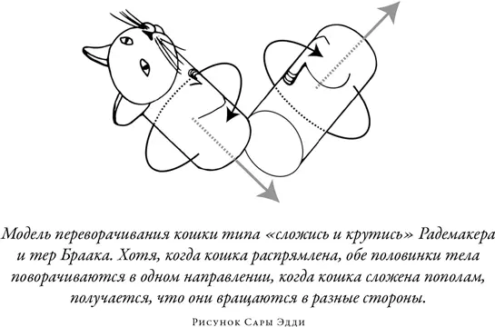 В последние годы алгоритм сложись и крутись считается важнейшей частью - фото 39