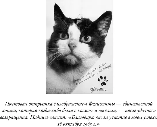 Кейн и Шер воспользовались для моделирования сложных систем новой на тот момент - фото 51