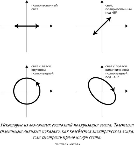Самое тщательное исследование падающей кошки в терминах геометрических фаз - фото 67