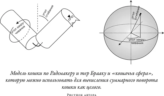 Если мы сравним оба варианта переворота на кошачьей сфере то увидим и - фото 70