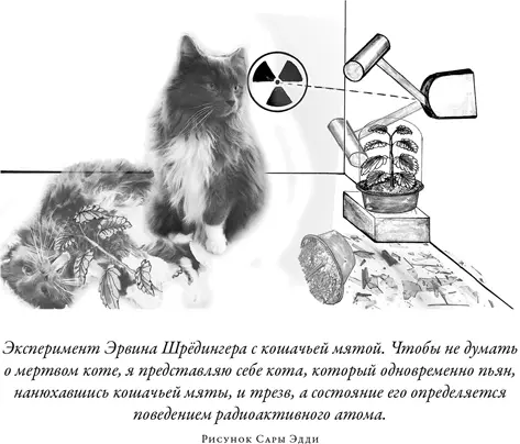 Эйнштейн одобрил критическое выступление Шрёдингера В письме 1950 г он писал - фото 73