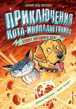 Джонни Марчиано Секрет звёздного пса [litres] обложка книги