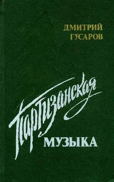 Дмитрий Гусаров Партизанская музыка [авторский сборник] обложка книги