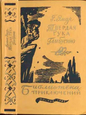 Густав Эмар Твердая рука. Гамбусино обложка книги