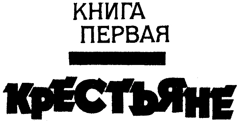 ГЛАВА I ОПИСЬ ИМУЩЕСТВА В ДЕРЕВНЕ 1 С пассажирского поезда который следует из - фото 5