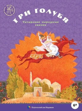 Народные сказки Три голубя [Татарские народные сказки] обложка книги