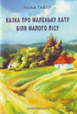 Люба Ґавур Казка про маленьку хату біля малого лісу обложка книги