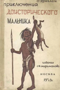 Эрнст д’Эрвильи Приключения доисторического мальчика [Повесть] обложка книги