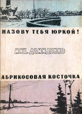 Михаил Демиденко Абрикосовая косточка. — Назову тебя Юркой! обложка книги