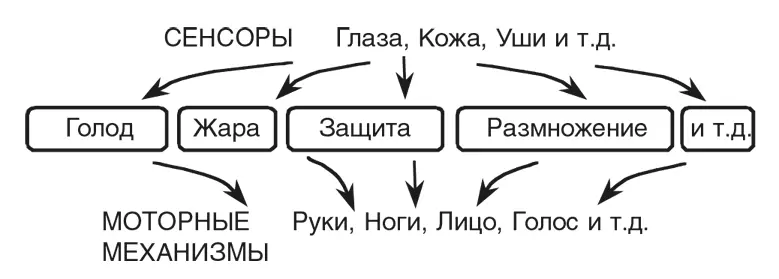 Что окажется внутри такой машины инстинктов Каждой из них нужно три вида - фото 4