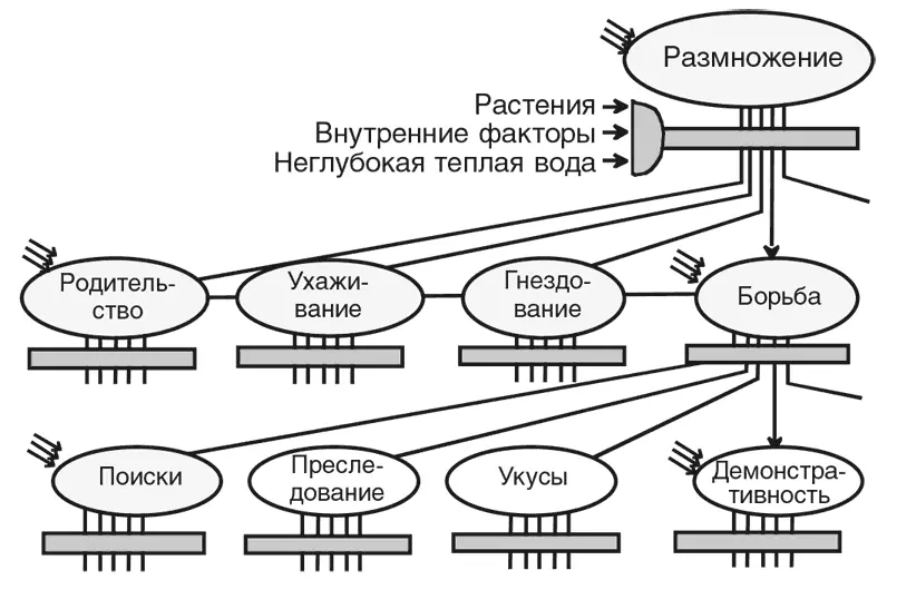 Конечно этого недостаточно для объяснения более высоких уровней мышления - фото 7