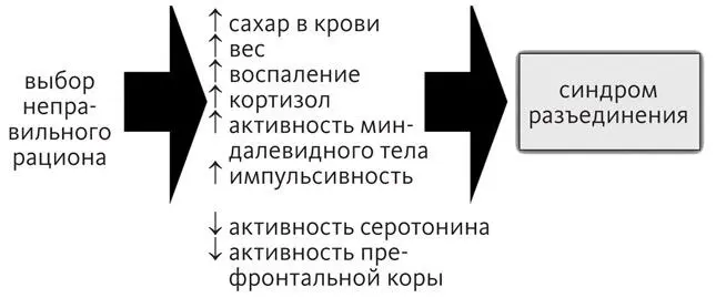 Давайте посмотрим подробнее как общее воспаление влияет на ваш мозг Одно из - фото 9