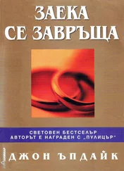 Джон Апдайк - Заека се завръща