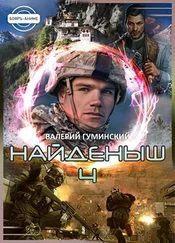 Найденыш 3 гуминский