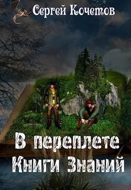 Сергей Кочетов В переплете Книги Знаний (СИ) обложка книги