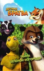 Льюис Гиков - Лесная братва. Тайна зелёной изгороди